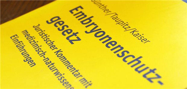 Regierungskommission: Vorschlag zu Leihmutterschaft im Frühjahr Embryonenschutzgesetz als Buch