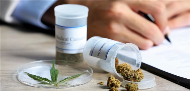 Ein Arzt verschreibt einem Patienten medizinischen Cannabis.