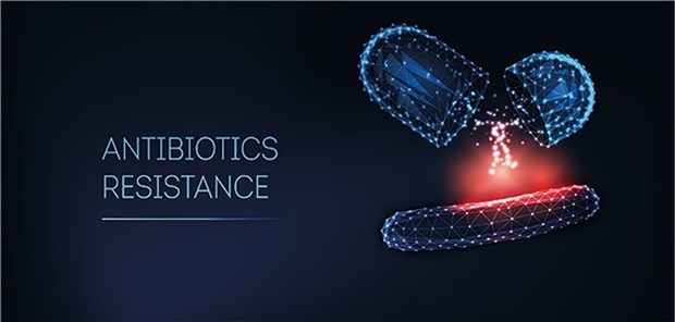 Digitale Tools können den Antibiotikaverbrauch eindämmen, so eine Studie.