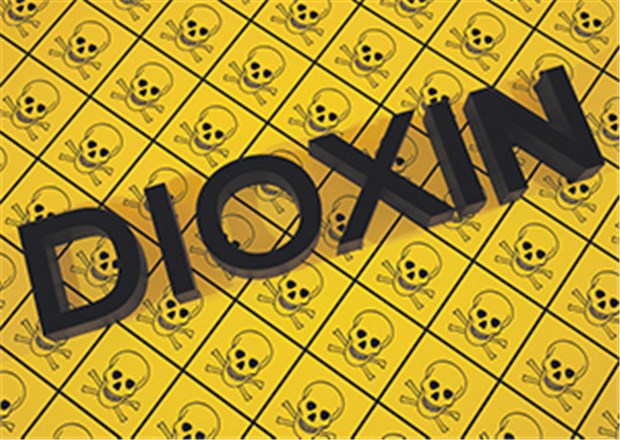 Dioxin schädigt akut Haut und Leber Dioxin löst einerseits akute schwere Vergiftungen aus, andererseits langfristige Schäden. Es reichert sich im Fettgewebe an.