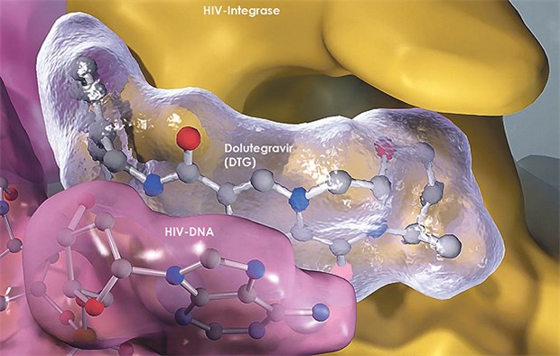 Dolutegravir bindet an das aktive Zentrum der HIV-Integrase. Infolgedessen wird die Integration der DNA des HI-Virus in das Genom der Wirtszelle gehemmt.
