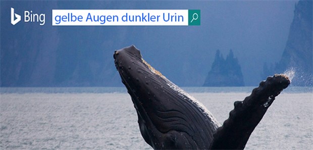 Kann eine Internet-Suchmaschine gefährlichen Krebs früherkennen Dr. Bing: US-Forscher untersuchten, wie effektiv die Suchmaschine Symptome erkennt und zuzordnet.