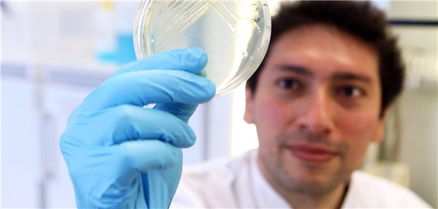 Neue Strategie gegen Antibiotikaresistenzen Dr. Camilo Barbosa untersucht in seinem Labor das Prinzip der kollateralenSensitivität.