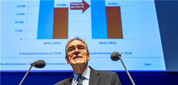 Dr. Franz Bernhard Ensink, Herr der BÄK-Zahlen, präsentierte den Delegierten gute Zahlen.