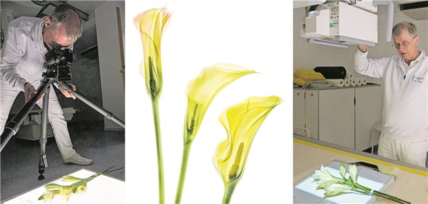 Dr. Julian Köpke holt sich regelmäßig die heimische Flora vor die Kameralinse und die Röntgenapparate.