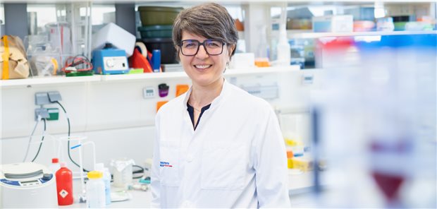 Renommierte Professur für Freiburger Immunologin Dr. Marta Rizzi hat eine Heisenberg-Professur an der Universität Freiburg angetreten
