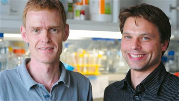 Krebsforscher ausgezeichnet Dr. Martin Janz (l.) und Dr. Stephan Mathas haben den Curt-Meyer-Gedächtnispreis der Berliner Krebsgesellschaft erhalten ausgezeichnet.
