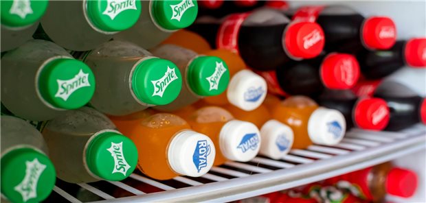 Dr. Nadine Khoury vom Institut d’Investigació Sanitària Pere Virgili und ihr Team resümieren, dass die Studienergebnisse legen nahe, dass ein hoher Konsum verarbeiteter Nahrung bei jüngeren Kindern mit Adipositas und anderen kardiovaskulären Risikofaktoren korreliert. 