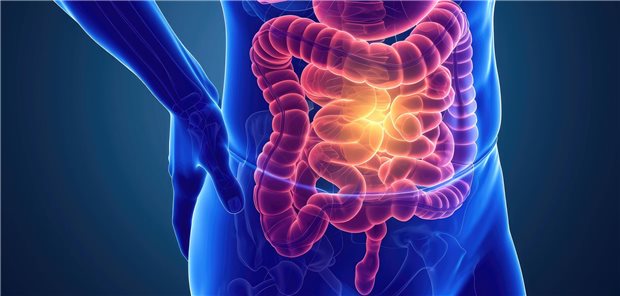 Dr. med. Birgit Terjung resümiert, dass um in einer alternden Gesellschaft auch eine optimale Behandlung für Menschen mit CED im Alter von 60+ zu gewährleisten, es dringend notwendig sei, deren individuelle Krankheitsparameter und Therapieoptionen in Leitlinien umfassender abzubilden.