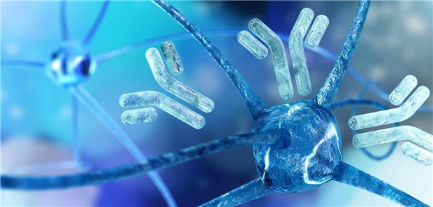 Dreidimensionales Molekülmodell eines Antikörpers auf einem Neuron.