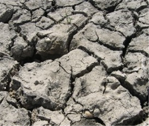 Forscher zeichnen düstere Szenarien durch Klimaerwärmung Dürre - ein Grad mehr im Temperaturmittel, und in Südafrika sinkt die Regenmenge stark.