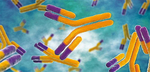 Durch die Integration von Antikörpern hat die Colitis ulcerosa-Therapie einen rasanten Wandel erfahren.