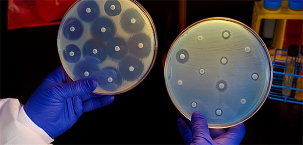 Durch die Resistenzen gegen verbreitete Antibiotika ist MRSA-Infektionen nur schwer bis gar nicht beizukommen.