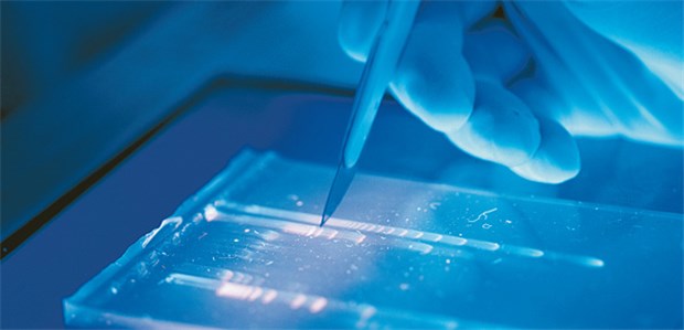 Personalisierte Medizin wäre nicht erst übermorgen, sondern schon heute möglich Durch komplexe statistische Methoden lassen sich sich zeitlich verändernde Proteinmuster identifizieren.