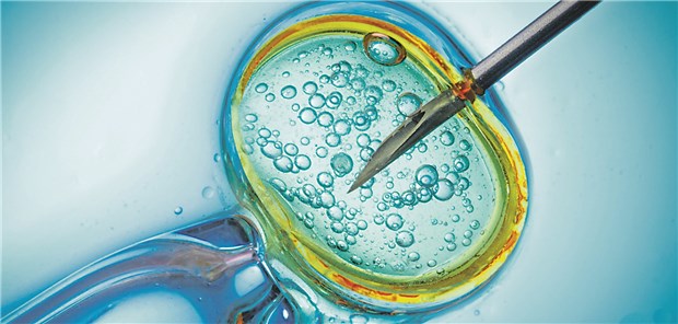 Veränderte Gene – veränderte Welt Durch künstliche Befruchtung entstanden die von He manipulierten Embryos.