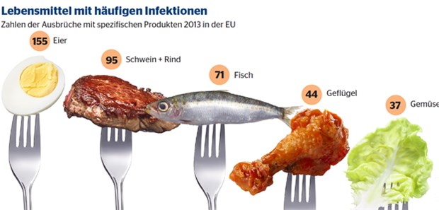 Neue Risiken in Lebensmitteln Eier, Schweinefleisch und Rindfleisch sowie Fisch: Das sind nach Angaben der EDCD die Lebensmittel, die für die häufigsten Infektionen sorgen.