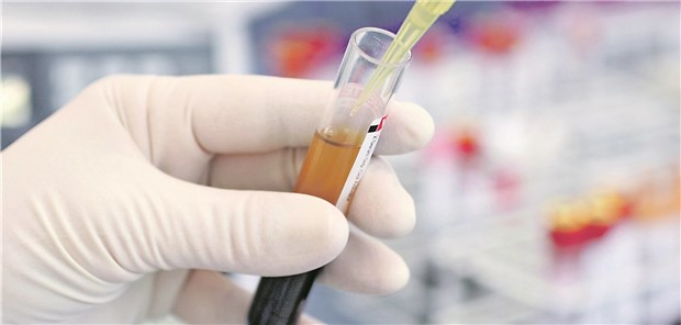 Eigenlabor, Auftrag ans Fachlabor oder Laborgemeinschaft? Ärzte können hier nicht nach Gutdünken entscheiden.