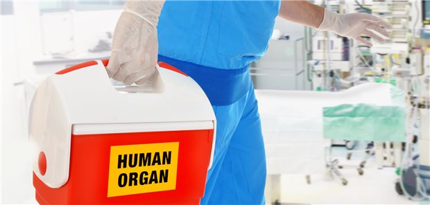 Immer öfter verhindern Tumoren eine Organspende Ein Arzt bringt ein Spenderorgan in den Operationssaal für eine Organtransplantation.