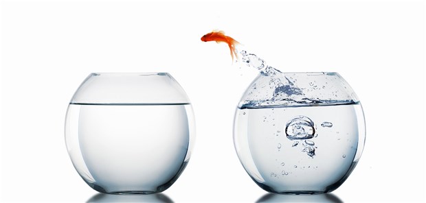 Ein Arzt, zwei Tätigkeitsbereiche? Das will das BSG mit seinem Urteil zur halben Zulassung im MVZ verhindern.