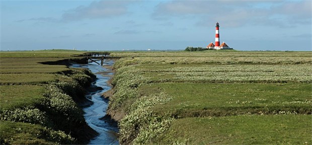 Ein Bild als Mitbringsel zum Aufstellen im Büro kann als Motivationhilfe genutzt werden.
