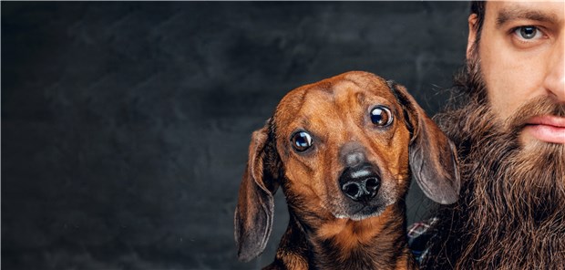Hunde im MRT hygienischer als bärtige Männer Ein Dachshund und sein bärtiges Herrchen: Wer kontaminiert das MRT mehr?