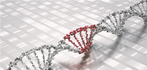 RNA-basierte Therapeutika starten durch Ein Defekt im Transthyretin-Gen verursacht die FAP.
