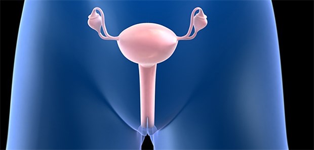 Ein Eierstock-Screening birgt eine hohe Fehlerquote. Mit längerer Beobachtungszeit steigt aber der Nutzen.