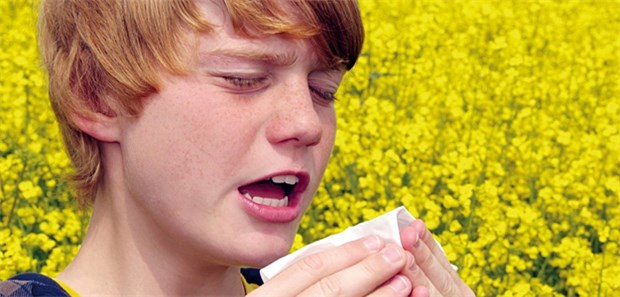 Neue Gene für Allergie-Risiko entdeckt Ein Heuschnupfen kommt selten allein: Allergische Erkrankungen hängen oft zusammen. Das liegt an den Genen, so Forscher.