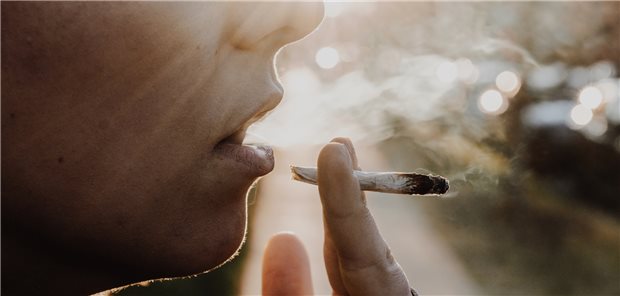 Junge Menschen konsumieren weniger Alkohol aber mehr Cannabis Ein Joint zwischen den Fingern – dieses Bild lässt sich bei jungen Erwachsenen immer häufiger beobachten.