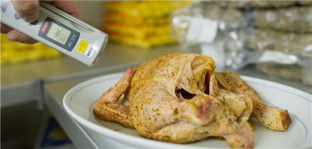 Jede dritte Lebensmittelkontrolle entfällt Ein Lebensmittelkontrolleur überprüft bei einer Betriebskontrolle die Temperatur eines Hähnchens. Nach Angaben von Foodwatch fallen viele Prüfungen wegen Personalmangels aus. (Archivbild)