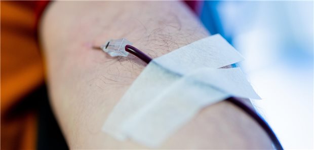 Studie: Rückmeldung verbessert Motivation von Blutspendern Ein Mann spendet Blut.