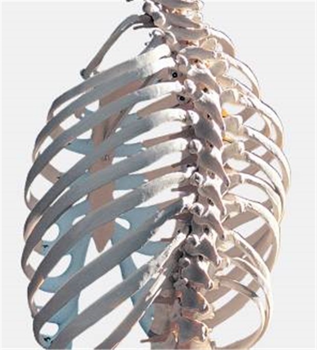 Ein Medikament, das den Knochenaufbau fördert und den Abbau hemmt, hält die Knochen über viele Jahre stabil.