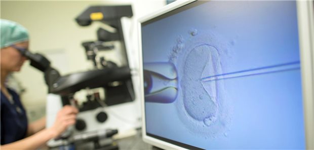 Ärzte erleichtert: Alabama stellt IVF-Anbieter unter Schutz Ein Monitor zeigt im Kinderwunschzentrum Magdeburg eine Intrazytoplasmatische Spermieninjektion.