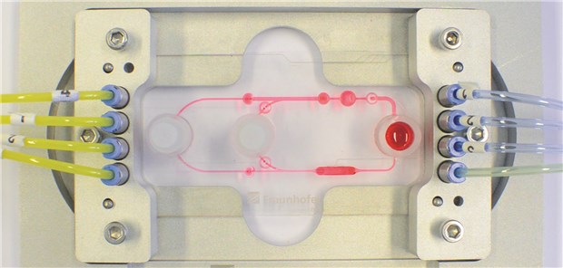 Multiorgan-Chip hilft, neue Arzneien zu testen Ein Multiorgan-Chip mit Pumpen und Ventilen (rote Punkte) sowie den Kammern für Organe, Gewebe, Blut und die Wirkstoffe, die untersucht werden sollen.