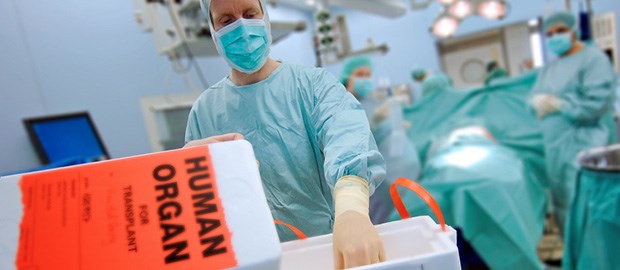 Bayern unter der Lupe Ein Organ zum Leben retten: In Bayern werden jetzt sämtliche Transplantationszentren untersucht.