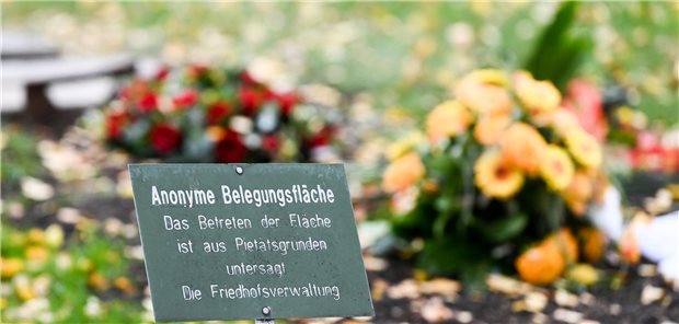 Ein Schild weist auf eine anonyme Begräbnisstelle auf dem Landschaftsfriedhof Gatow in Berlin hin: Körperspender werden in Niedersachsen anonym bestattet – aber es gibt eine Trauerfeier.