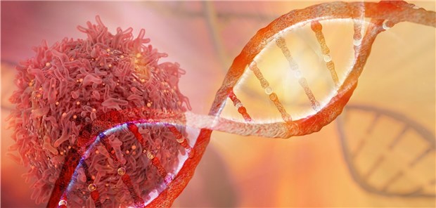 Ein Screening auf bestimmte Mutationen in zirkulierender Tumor-DNA wäre künftig vielleicht ein Weg, um Tumoren im prämalignen Stadium zu detektieren.