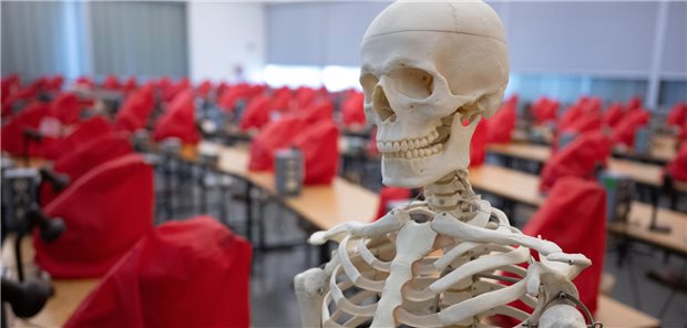 Medizinstudium: Vergütung im PJ soll entdeckelt werden Ein Skelettmodell steht in einem Mikroskopiersaal: Seit Jahren wird über eine Neuordnung des Medizinstudiums gerungen. Nun hat das Bundesgesundheitsministerium einen weiteren Referentenentwurf für eine neue Approbationsordnung vorgelegt.