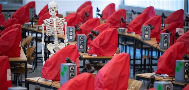 Ein Skelettmodell steht in einem Mikroskopiersaal der Justus-Liebig-Universität Gießen: Das Medizinstudium nach neuer Approbationsordnung startet frühestens ab 2027.