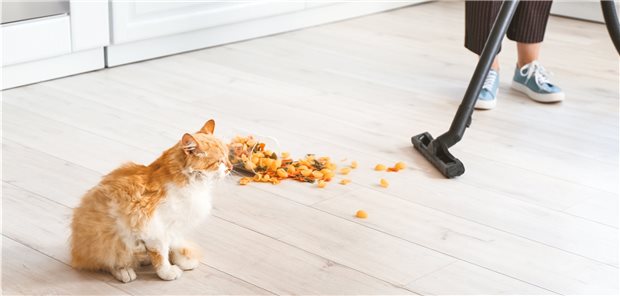 Mit einem Staubsauger Fremdkörper aus den Atemwegen entfernt Ein Staubsauger eignet sich wohl nicht nur zur Reinigung, er kann auch Leben retten.