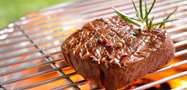 Steinzeitdiät gegen Fettleber Ein Steak - gut für die Lebertriglyzeride?