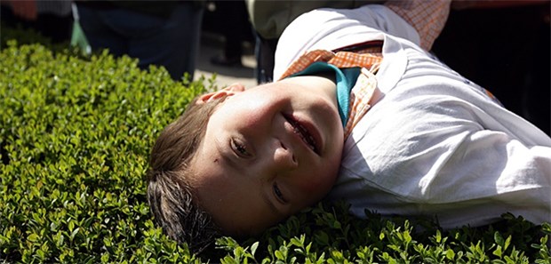 Ein Stoff im Grüntee verbessert die geistigen Fähigkeiten von Menschen mit Downsyndrom.