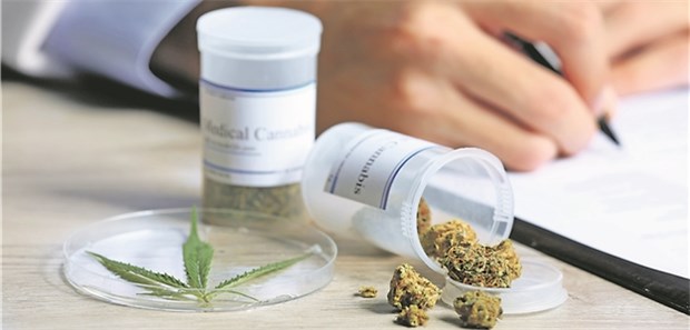 Ärzte für spezialisierte Cannabispraxen gesucht Ein Unternehmer hat mit Medizinalhanf große Versorgungspläne in Deutschland.