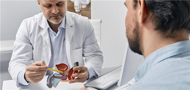 Ein Urologe erläutert am Modell.