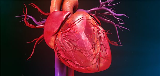 Ein ausgeglichener Elektrolyt-Haushalt ist wichtig für die Herz-Gesundheit.