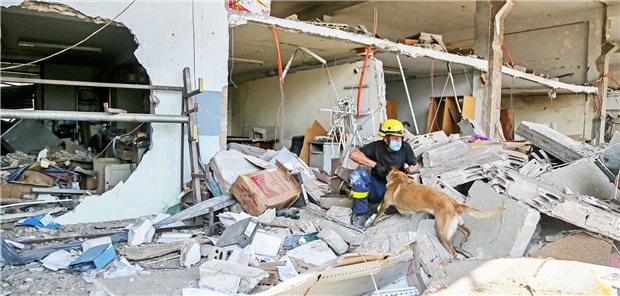 Wie deutsche Hilfsorganisationen in Beirut die Not lindern Ein deutscher Zivilschutz-Helfer und sein Hund inspizieren Trümmer am Ort der massiven Explosion im Hafen von Beirut. Mehrere deutsche Hilfsorganisationen sind zur Zeit in der libanesischen Hauptstadt tätig.