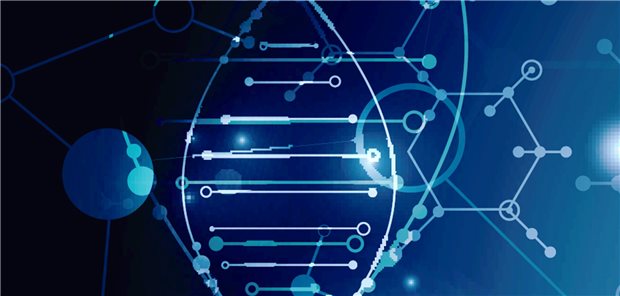 Ein kurzes Stück zellfreier, im Blut zirkulierender DNA untersuchten die Forscher als Biomarker zur Brustkrebs-Erkennung (Symbolbild).