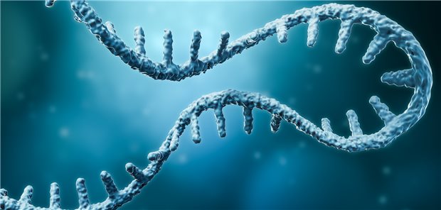 Ein mRNA-Strang, computer illustriert. Welche medizinischen Anwendungen birgt mRNA? Das war Thema beim Hauptstadtkongress 2022.