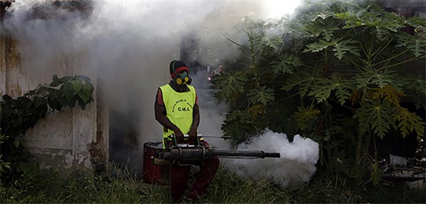 Dengue-Fieber wütet weiter Ein städtischer Mitarbeiter versprüht in Colombo ein Insektizid, um den Dengue-Ausbruch einzudämmen (Archivbild).