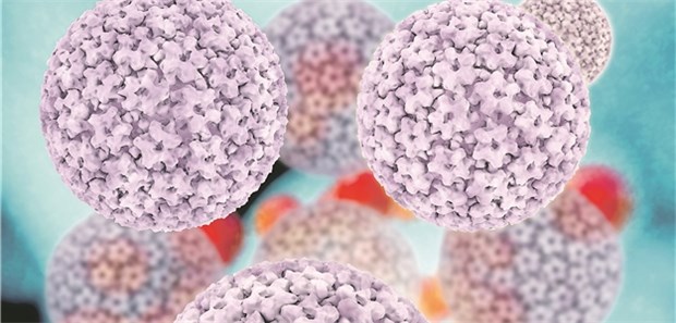 Immer mehr jüngere Frauen erkranken Ein verändertes Sexualverhalten und eine damit einhergehende steigende HPV-Prävalenz vermuten die Onkologen als Ursache für die steigende Zahl der Vulva-Karzinome.